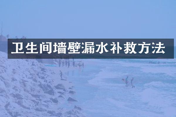 卫生间墙壁漏水补救方法