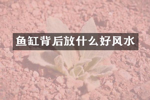 鱼缸背后放什么好风水