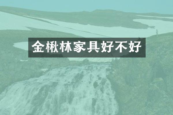 金楸林家具好不好