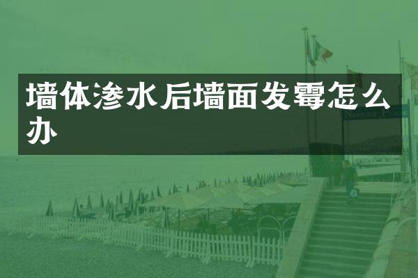 墙体渗水后墙面发霉怎么办
