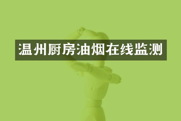 温州厨房油烟在线监测