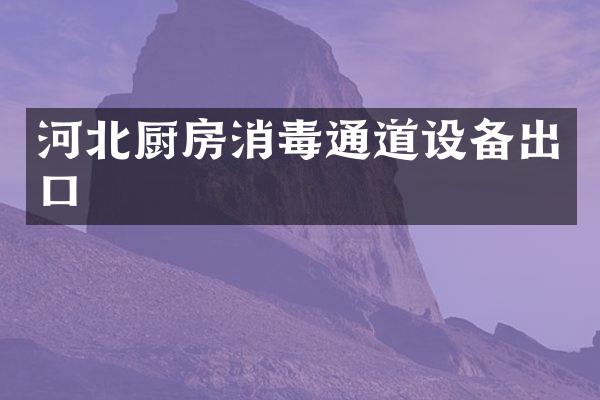 河北厨房消毒通道设备出口
