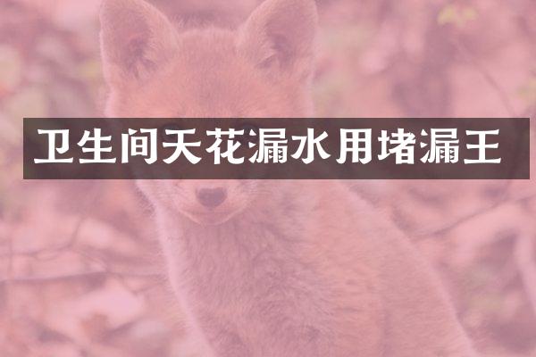 卫生间天花漏水用堵漏王