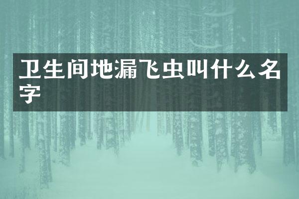 卫生间地漏飞虫叫什么名字