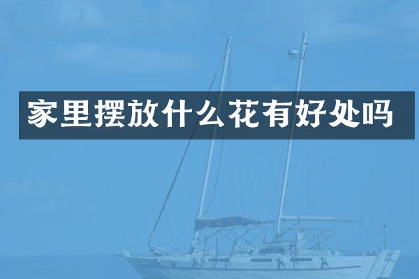 家里摆放什么花有好处吗