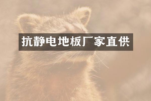 抗静电地板厂家直供
