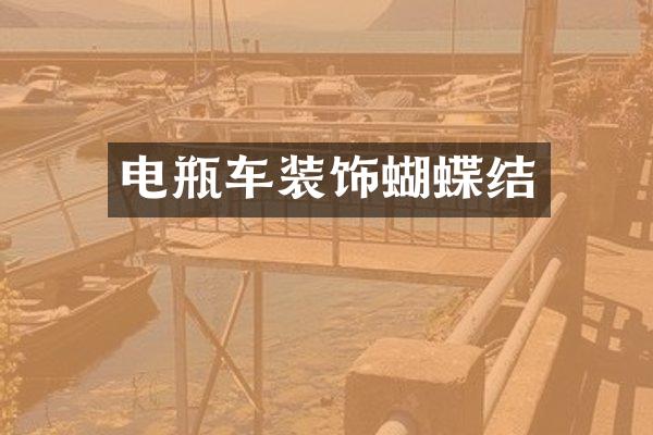 电瓶车装饰蝴蝶结