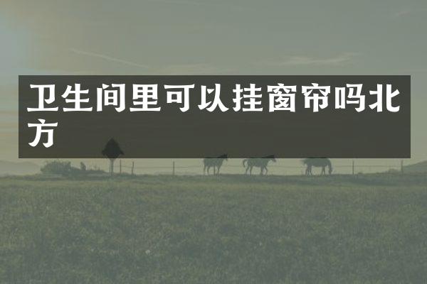 卫生间里可以挂窗帘吗北方