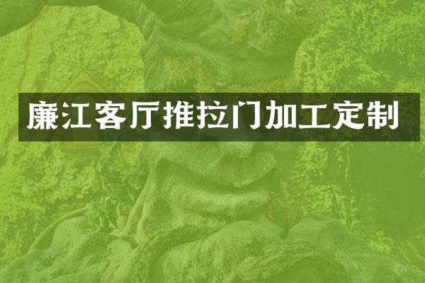 廉江客厅推拉门加工定制