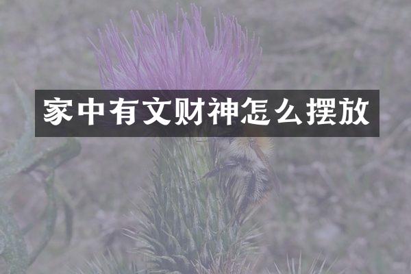 家中有文财神怎么摆放