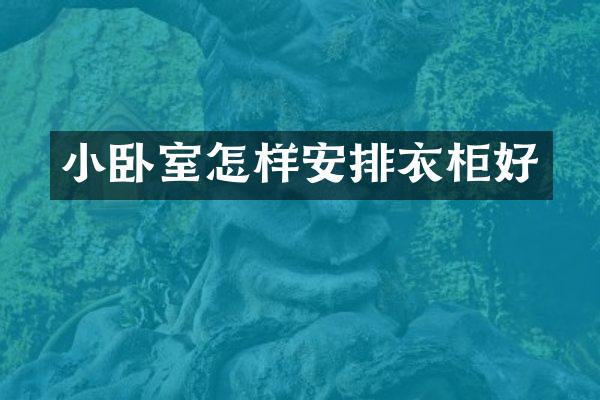 小卧室怎样安排衣柜好