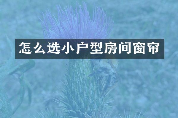 怎么选小户型房间窗帘