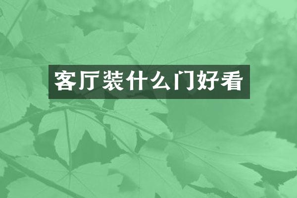 客厅装什么门好看