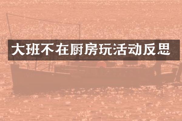 大班不在厨房玩活动反思