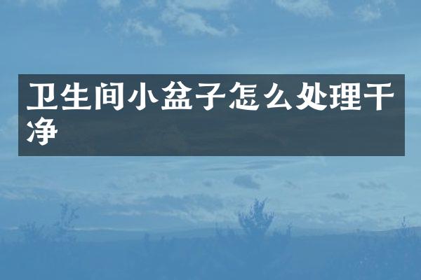 卫生间小盆子怎么处理干净