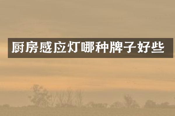 厨房感应灯哪种牌子好些