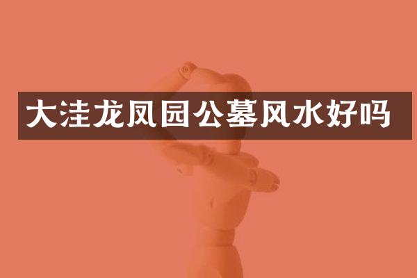 大洼龙凤园公墓风水好吗