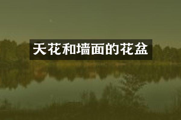 天花和墙面的花盆