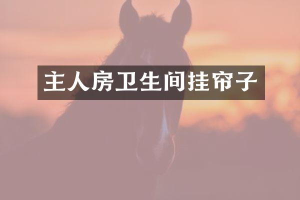 主人房卫生间挂帘子