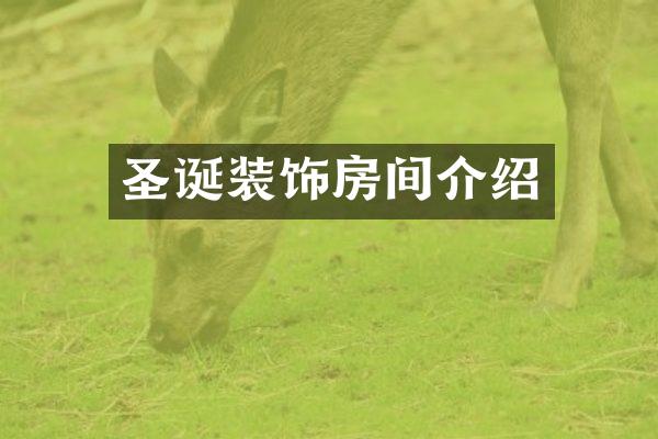 圣诞装饰房间介绍