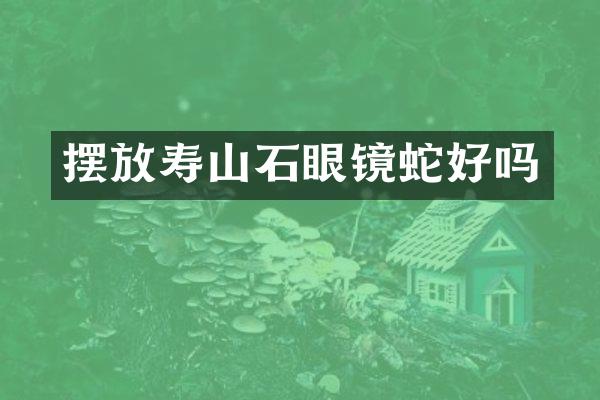 摆放寿山石眼镜蛇好吗