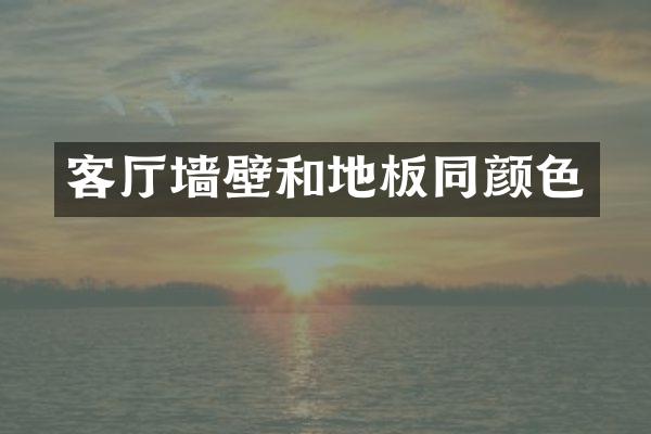 客厅墙壁和地板同颜色