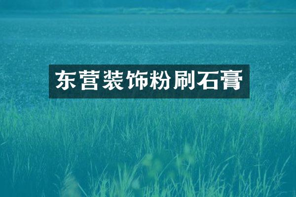 东营装饰粉刷石膏