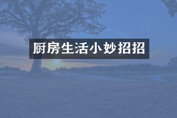 厨房生活小妙招招