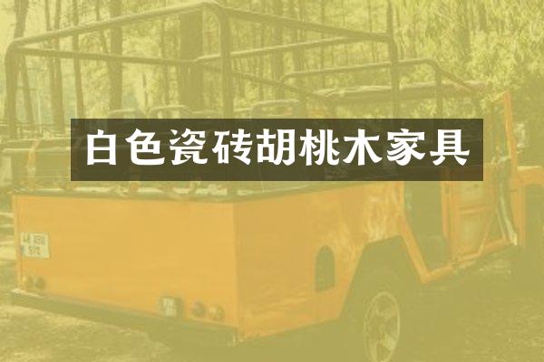 白色瓷砖胡桃木家具