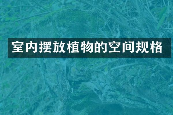 室内摆放植物的空间规格