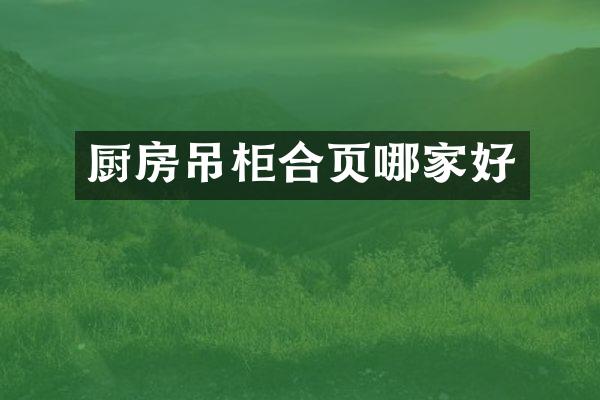厨房吊柜合页哪家好