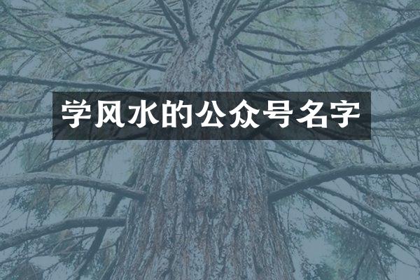 学风水的公众号名字