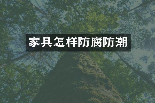 家具怎样防腐防潮