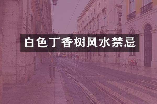 白色丁香树风水禁忌