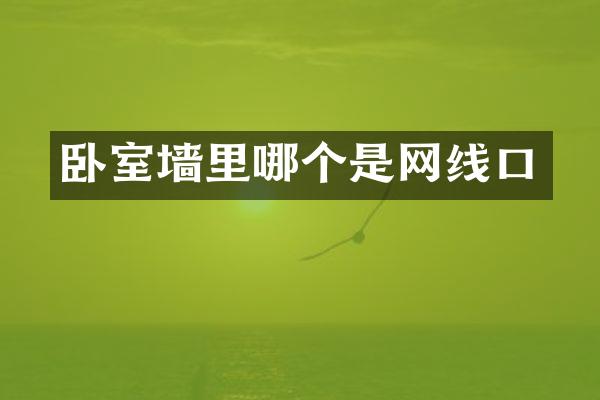 卧室墙里哪个是网线口