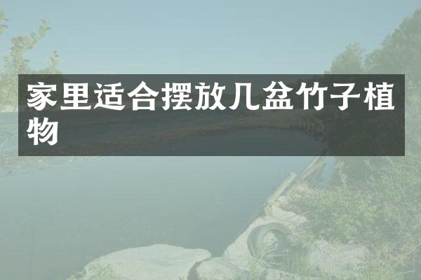 家里适合摆放几盆竹子植物