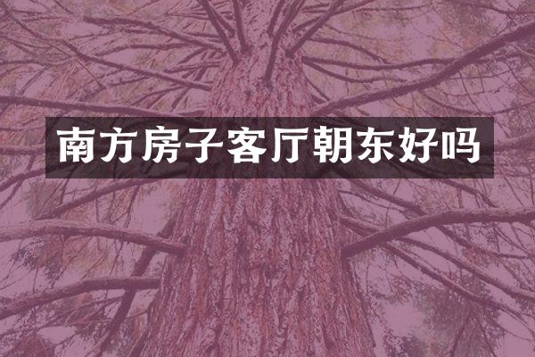 南方房子客厅朝东好吗