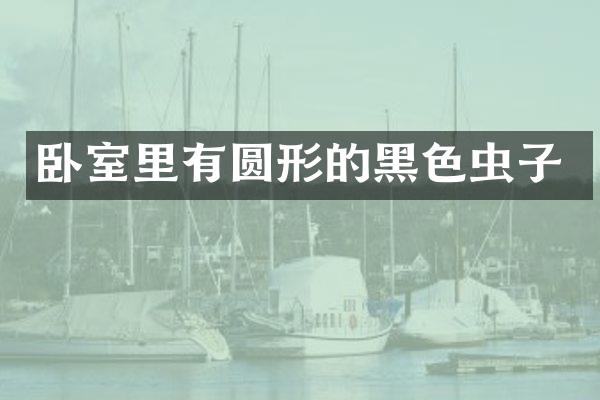 卧室里有圆形的黑色虫子
