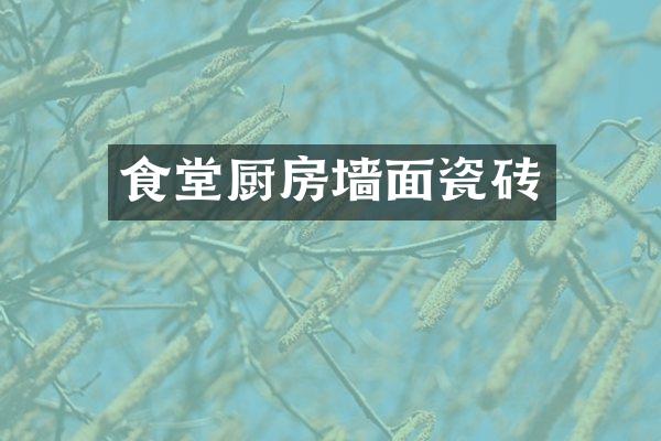 食堂厨房墙面瓷砖