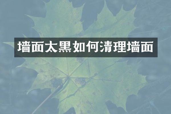 墙面太黑如何清理墙面
