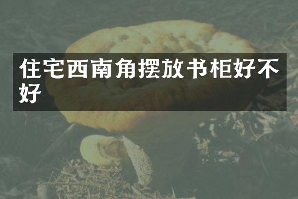 住宅西南角摆放书柜好不好