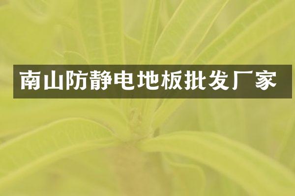 南山防静电地板批发厂家