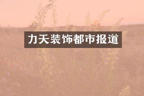 力天装饰都市报道