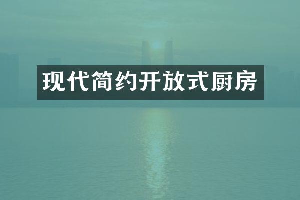 现代简约开放式厨房