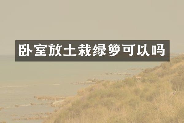 卧室放土栽绿箩可以吗
