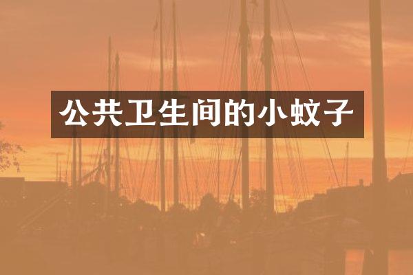 公共卫生间的小蚊子