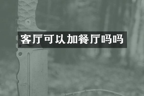 客厅可以加餐厅吗吗