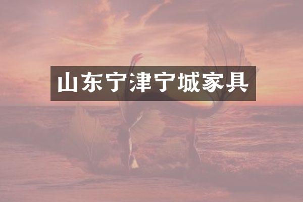 山东宁津宁城家具