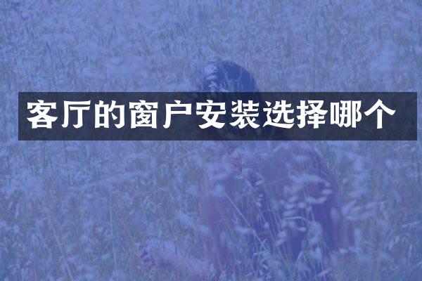 客厅的窗户安装选择哪个