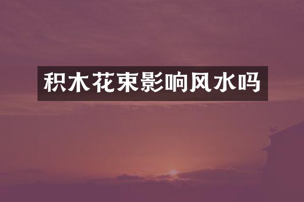 积木花束影响风水吗